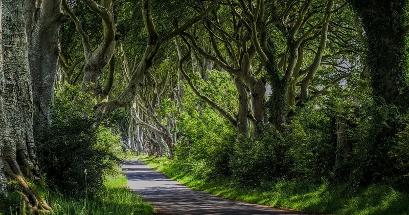 Itinéraire en Irlande en camping-car : ce qui marche vraiment