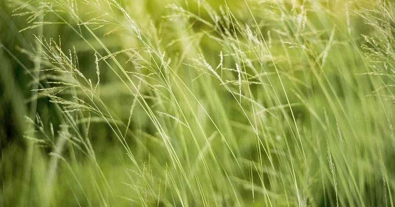 Impact environnemental : les chiffres qui parlent