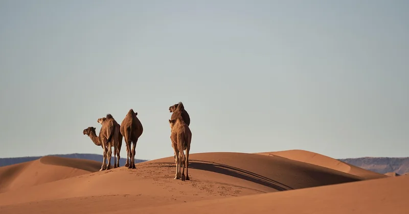 Un itinéraire de 10 jours qui mise sur le Sud