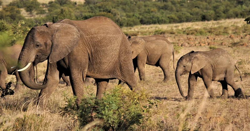 Slow travel en famille : le vrai changement